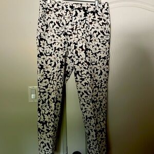 Orange brand stretch pant